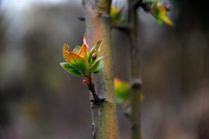 The Greatest Folly of Midlife: Unaware Depletion of Good Fortune